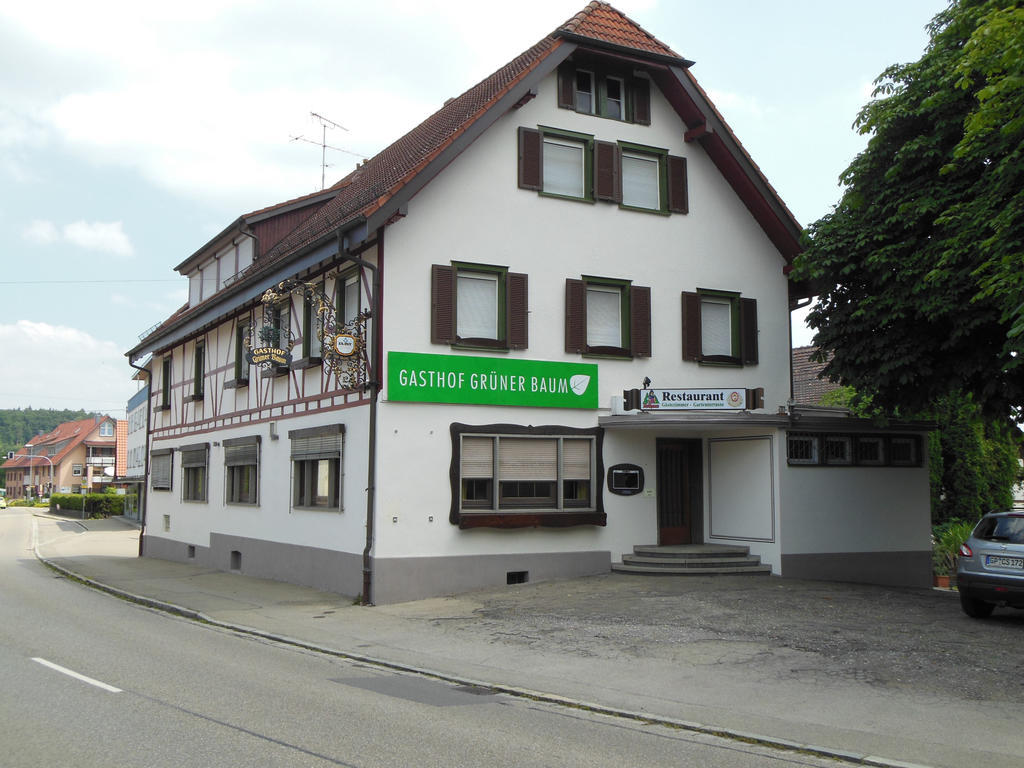 Gruener Baum Hotel Stetten  Exterior foto